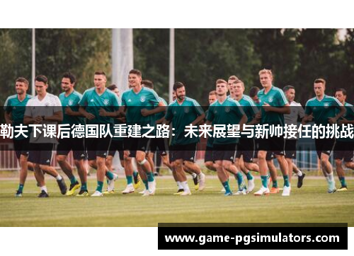 勒夫下课后德国队重建之路：未来展望与新帅接任的挑战