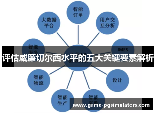 评估威廉切尔西水平的五大关键要素解析