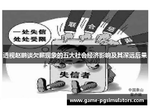 透视赵鹏谈欠薪现象的五大社会经济影响及其深远后果