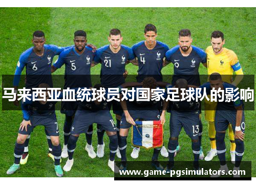 马来西亚血统球员对国家足球队的影响 马来西亚血统球员对国家足球队的影响