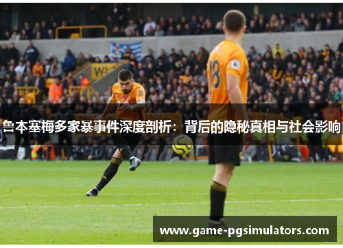 鲁本塞梅多家暴事件深度剖析:背后的隐秘真相与社会影响 鲁本塞梅多家暴事件深度剖析:背后的隐秘真相与社会影响