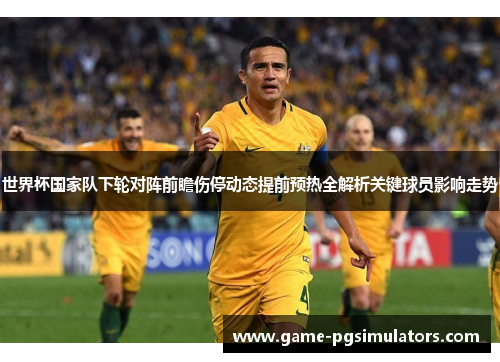 世界杯国家队下轮对阵前瞻伤停动态提前预热全解析关键球员影响走势