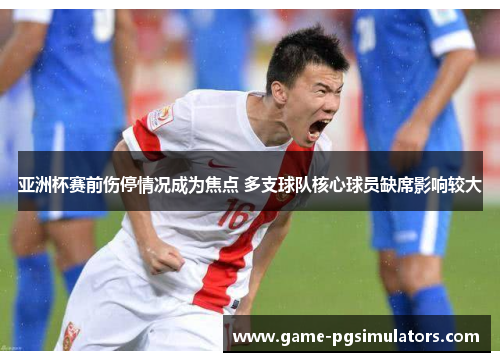 亚洲杯赛前伤停情况成为焦点 多支球队核心球员缺席影响较大