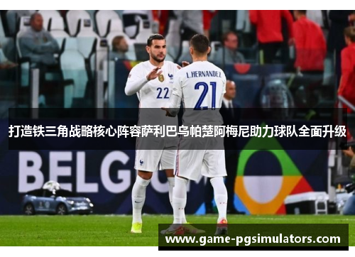 打造铁三角战略核心阵容萨利巴乌帕楚阿梅尼助力球队全面升级 打造铁三角战略核心阵容萨利巴乌帕楚阿梅尼助力球队全面升级